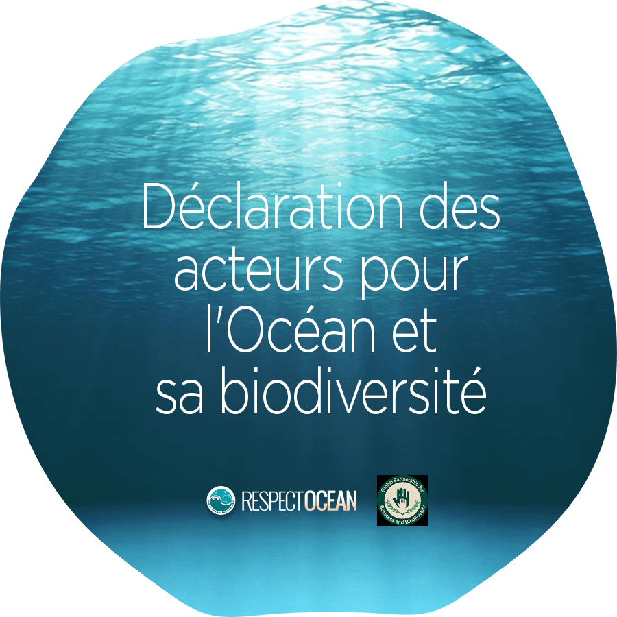 Earthship Sisters signataire de la déclaration des acteurs pour l’Océan et sa biodiversité